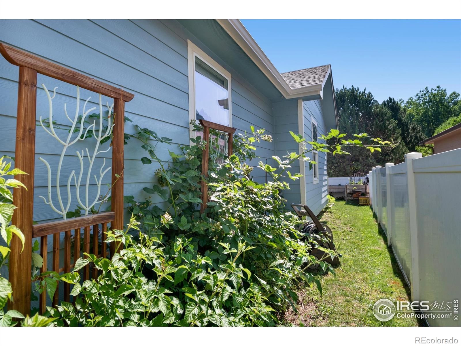 MLS Image #16 for 742  lavastone avenue,loveland, Colorado
