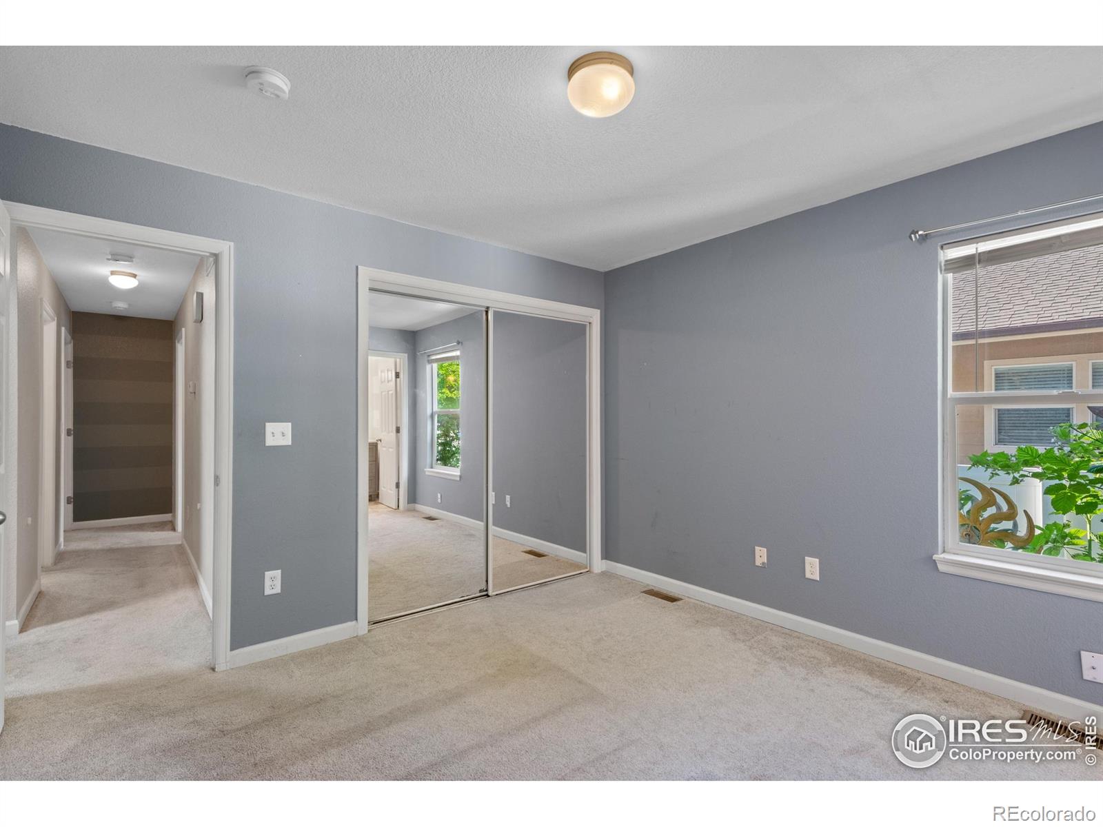 MLS Image #27 for 742  lavastone avenue,loveland, Colorado