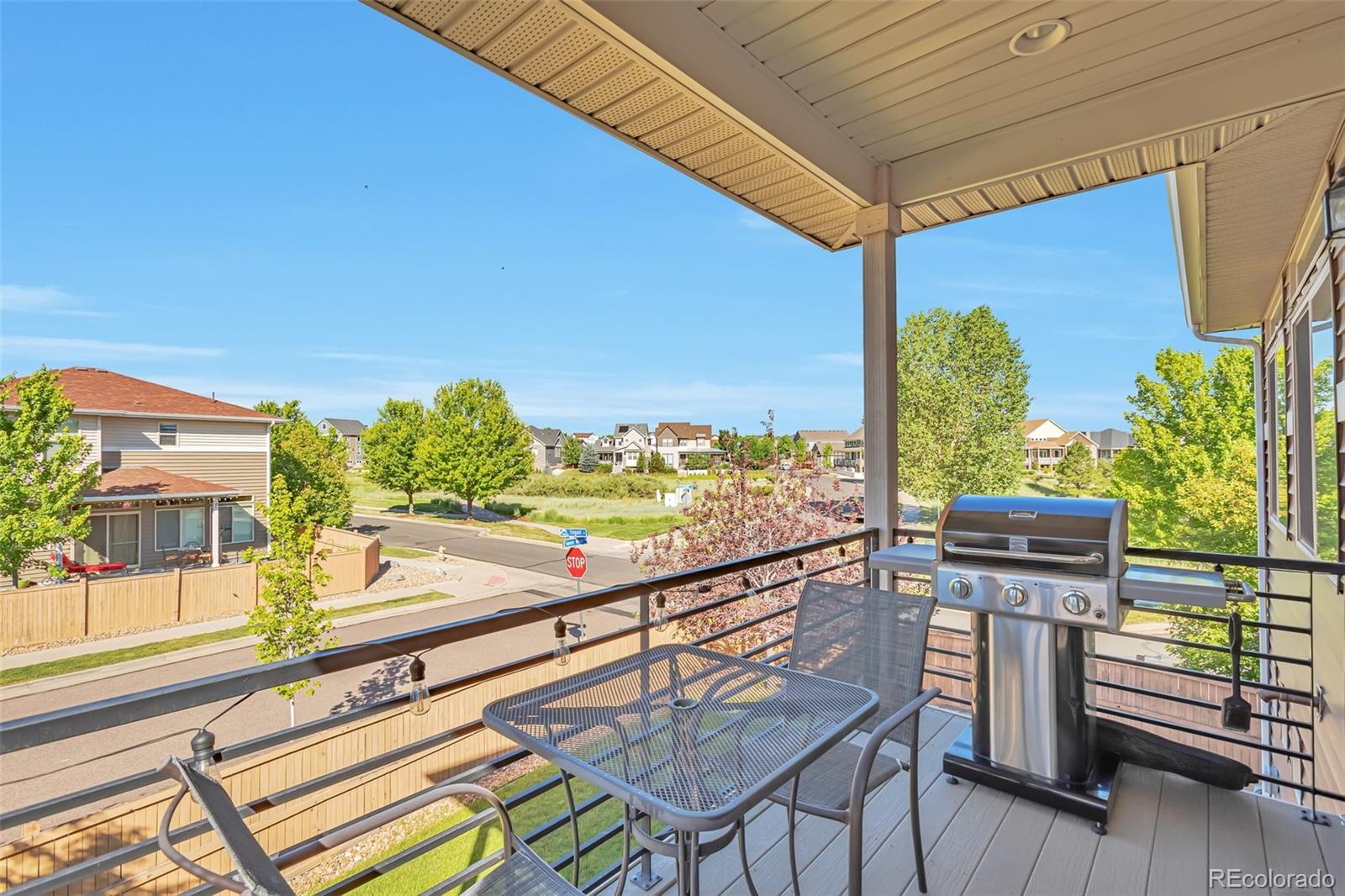 MLS Image #22 for 4418  elegant street,castle rock, Colorado