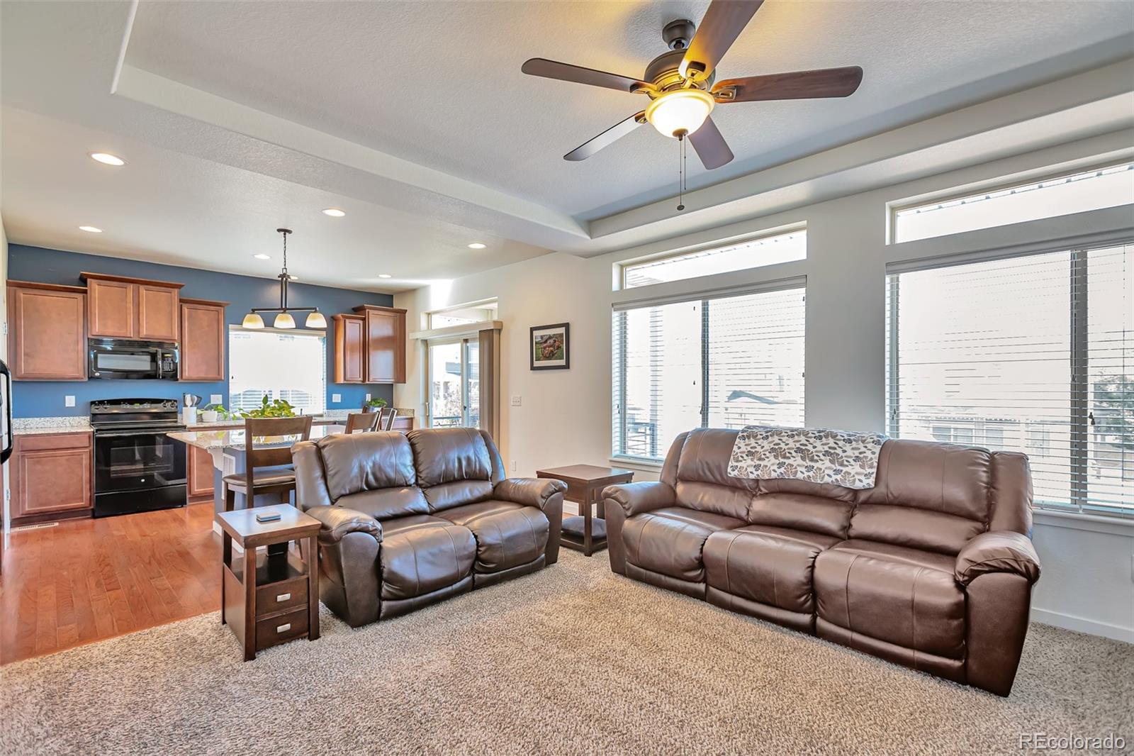 MLS Image #6 for 4418  elegant street,castle rock, Colorado