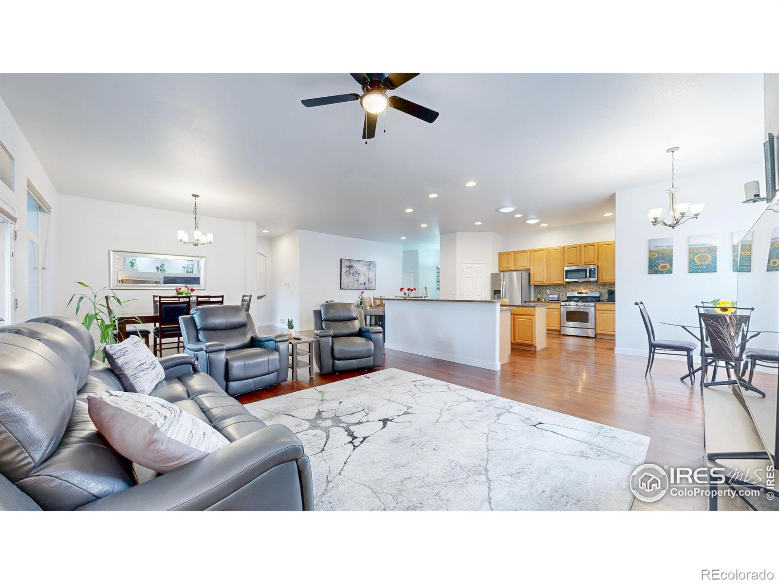 MLS Image #4 for 555 s 17th avenue,brighton, Colorado