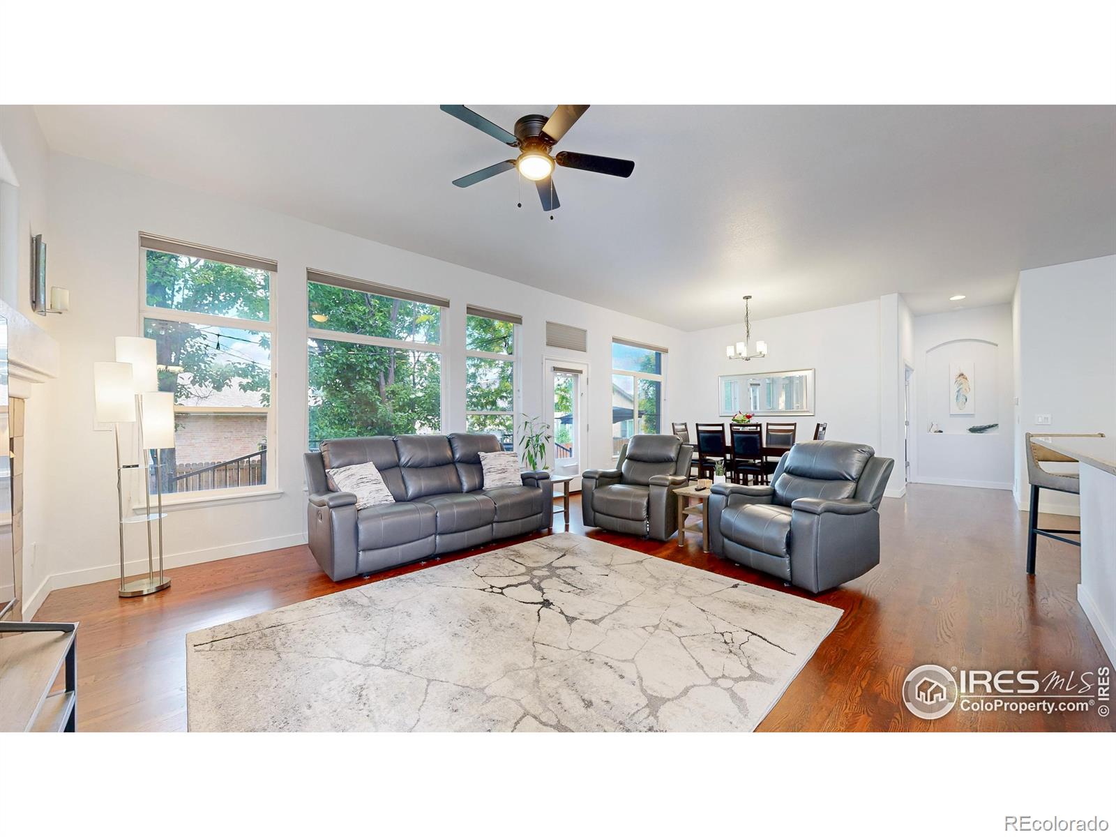 MLS Image #5 for 555 s 17th avenue,brighton, Colorado