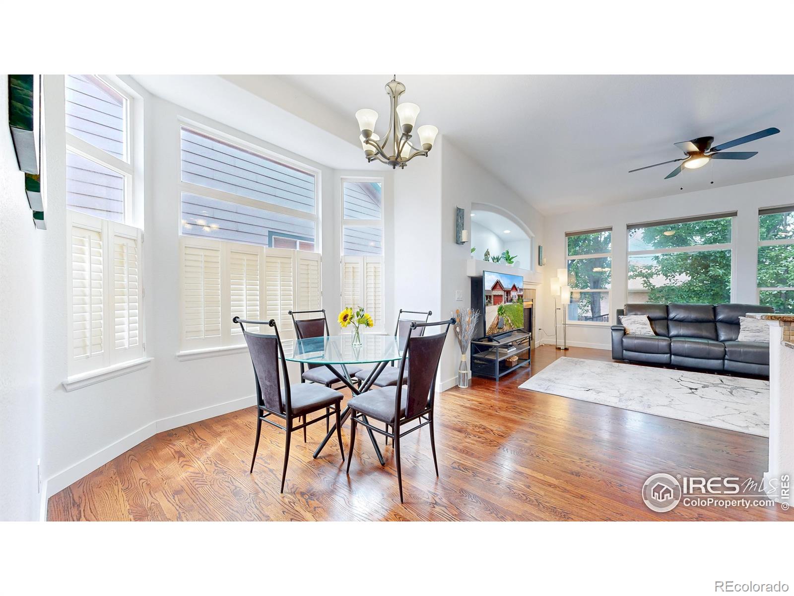 MLS Image #8 for 555 s 17th avenue,brighton, Colorado