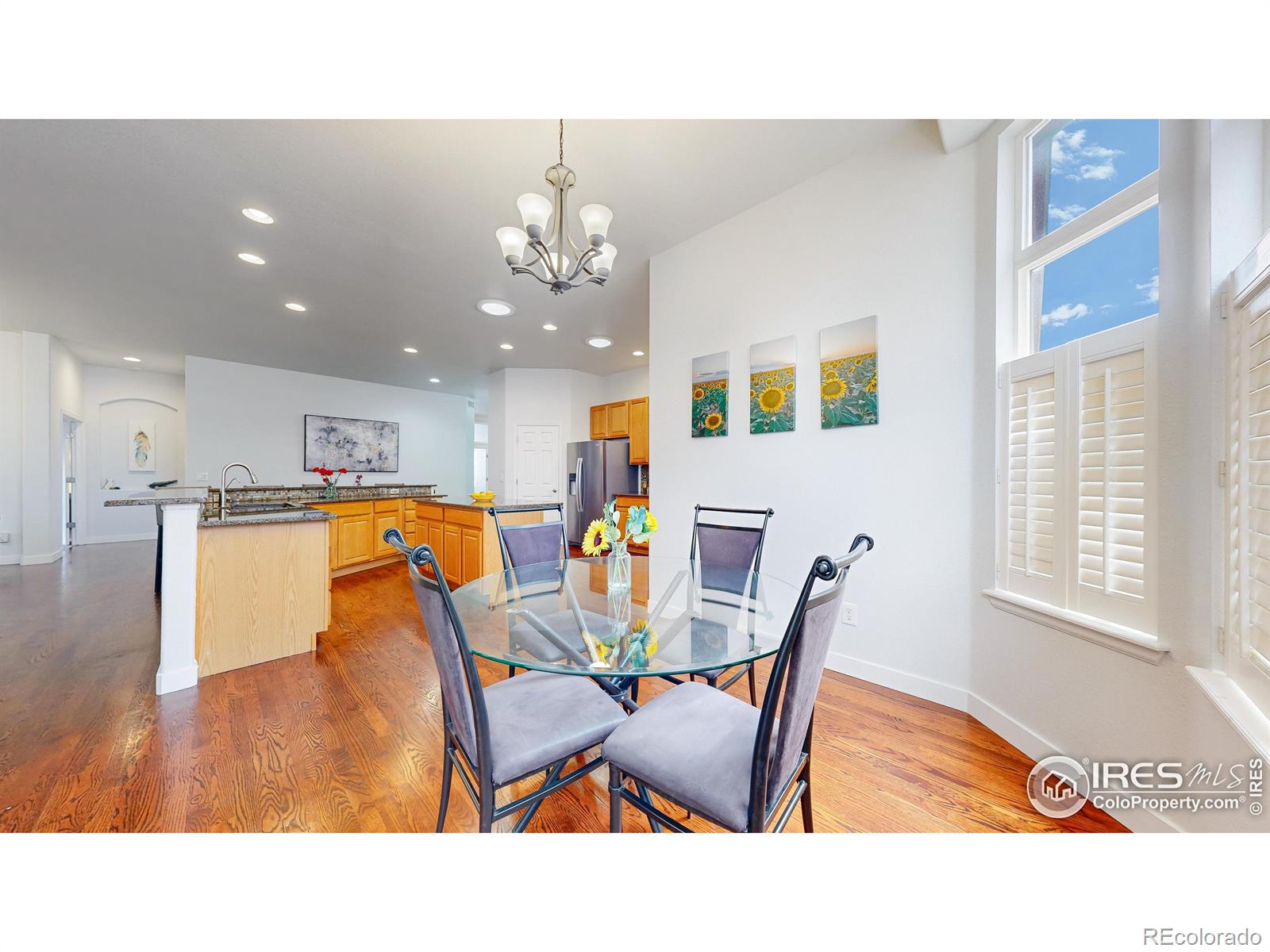 MLS Image #9 for 555 s 17th avenue,brighton, Colorado