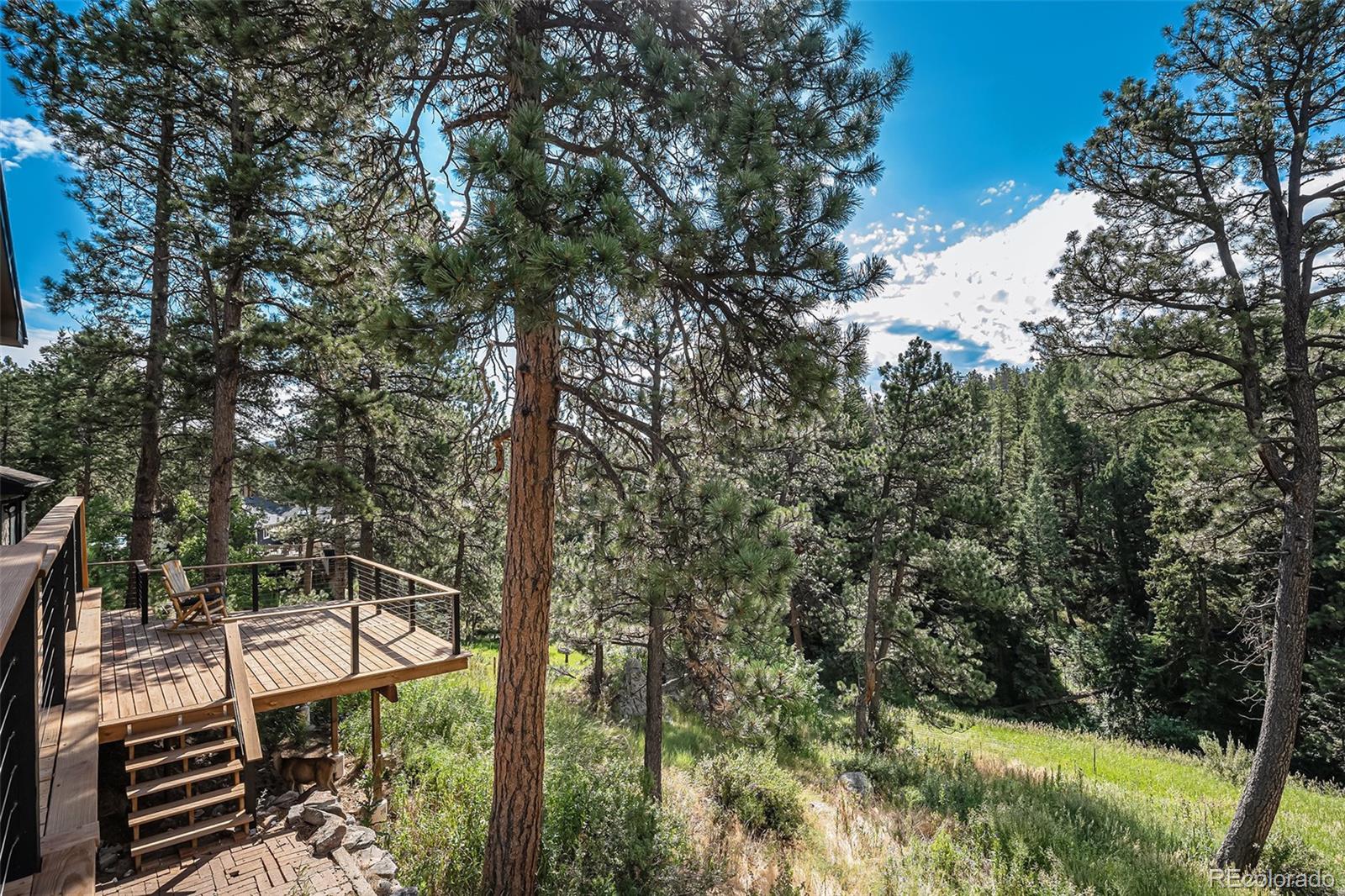 MLS Image #29 for 30938  niakwa road,evergreen, Colorado