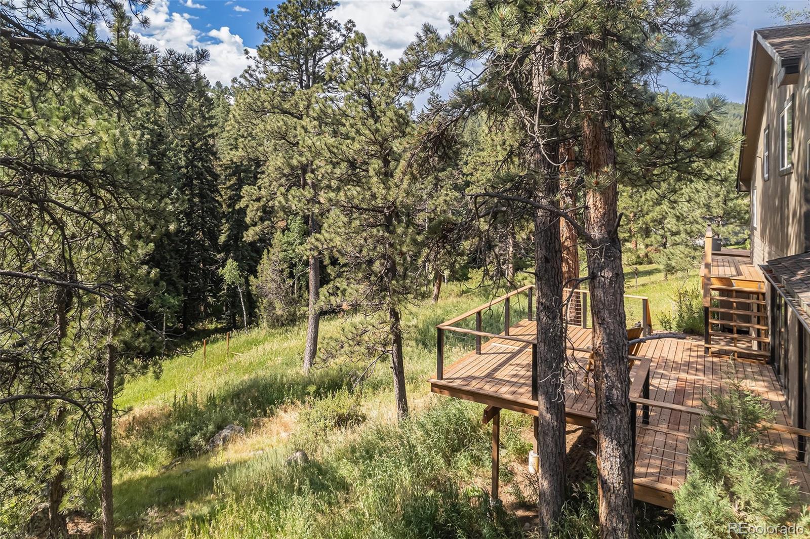 MLS Image #38 for 30938  niakwa road,evergreen, Colorado