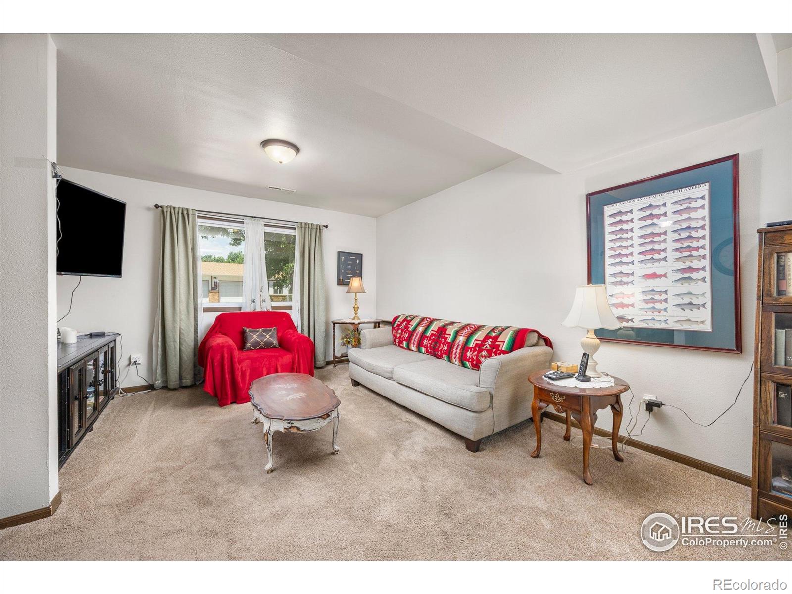 MLS Image #13 for 1107  nantucket street,windsor, Colorado