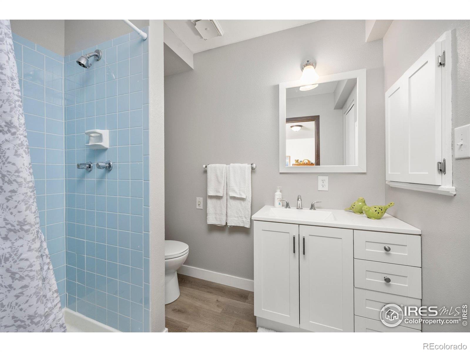 MLS Image #16 for 1107  nantucket street,windsor, Colorado