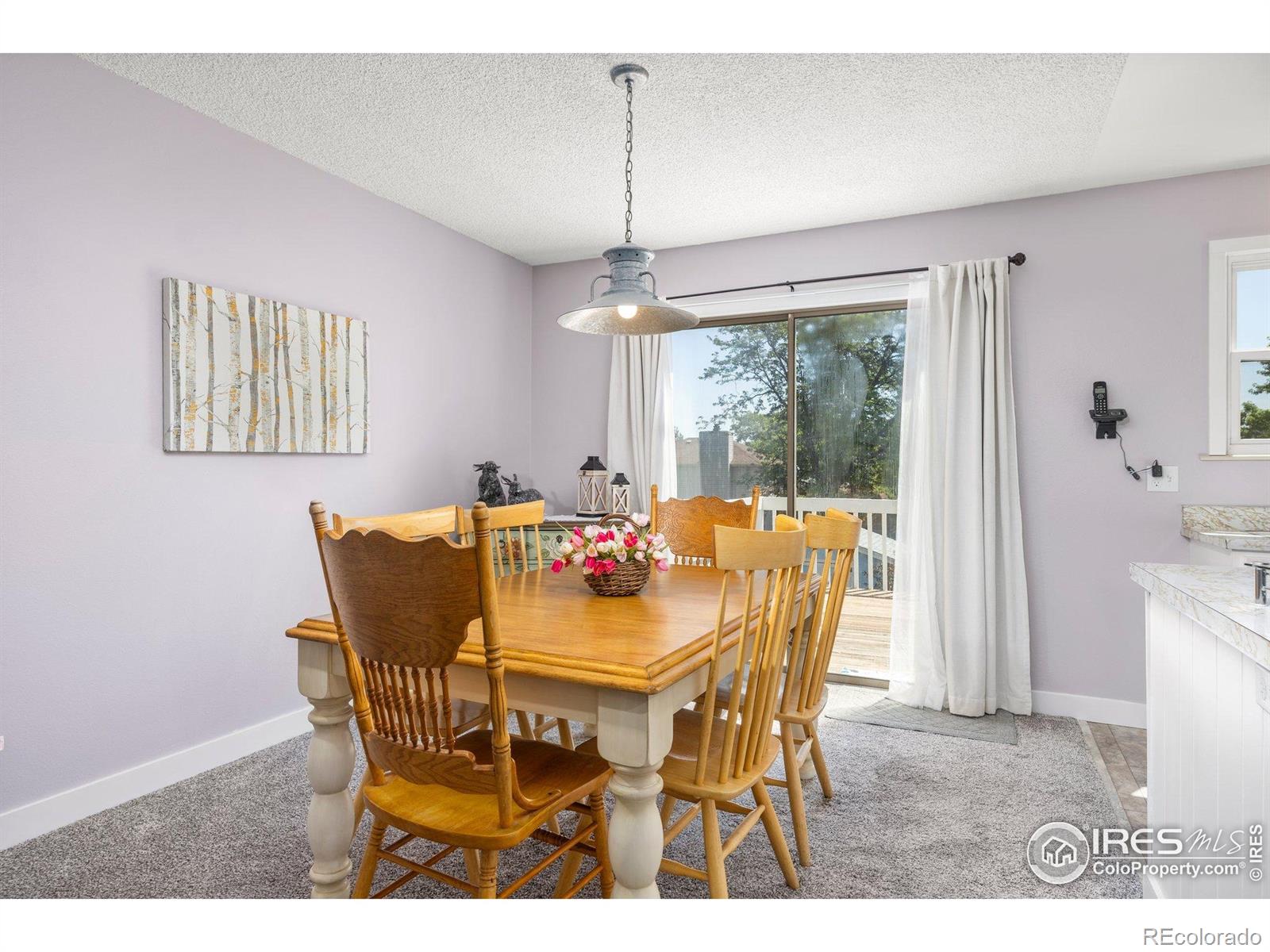 MLS Image #5 for 1107  nantucket street,windsor, Colorado
