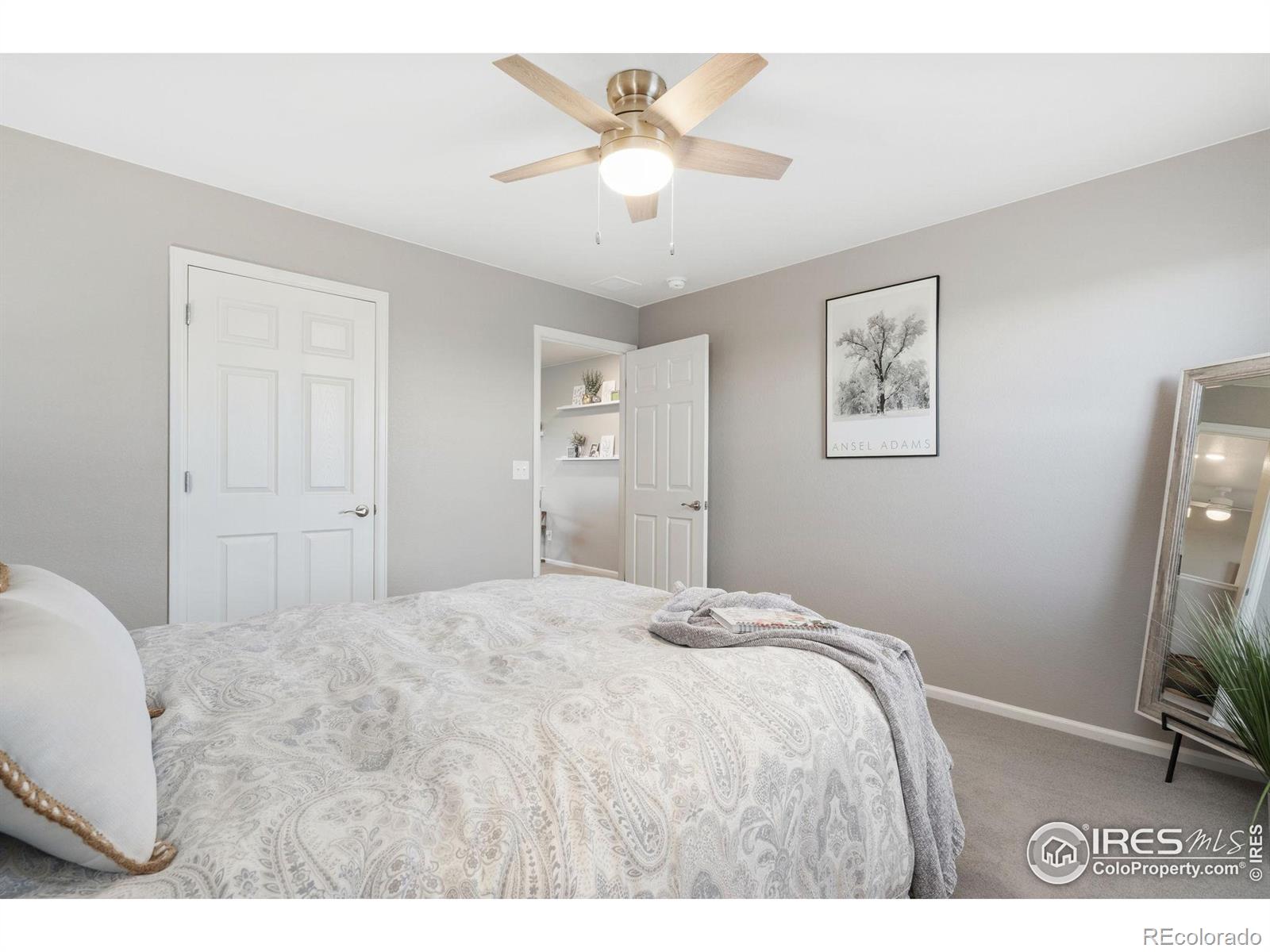 MLS Image #27 for 6282  yellowtail street,timnath, Colorado