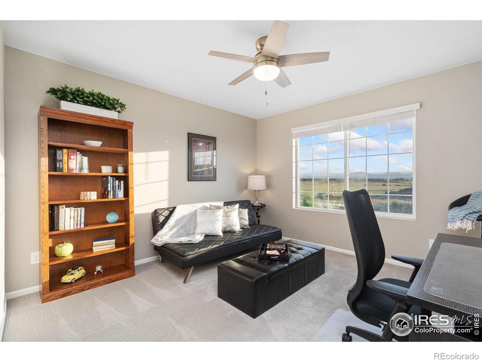 MLS Image #29 for 6282  yellowtail street,timnath, Colorado
