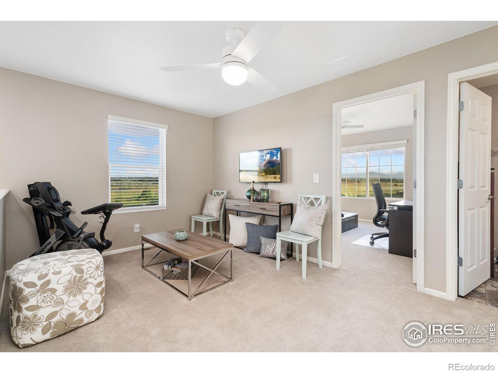MLS Image #30 for 6282  yellowtail street,timnath, Colorado
