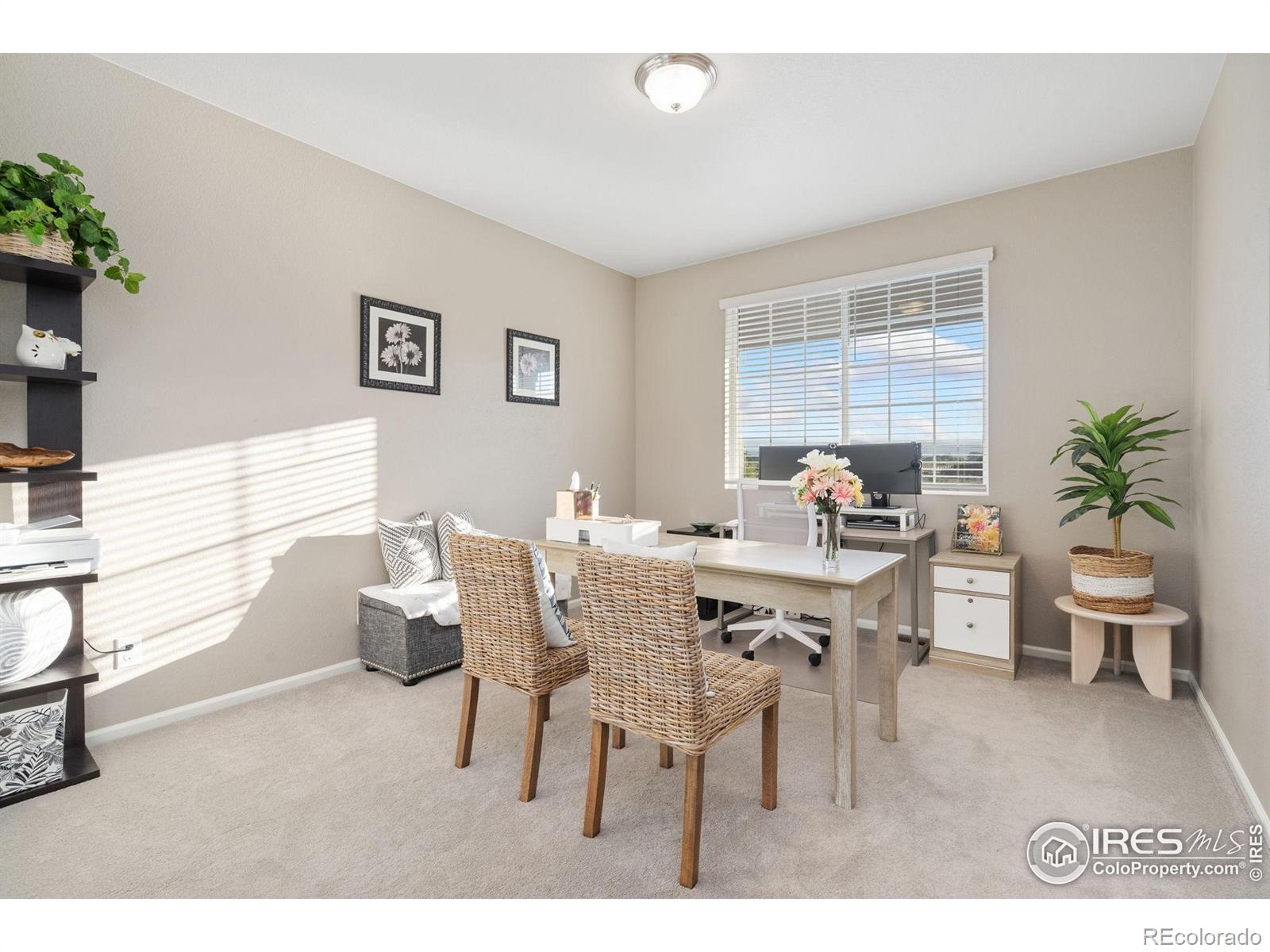 MLS Image #33 for 6282  yellowtail street,timnath, Colorado