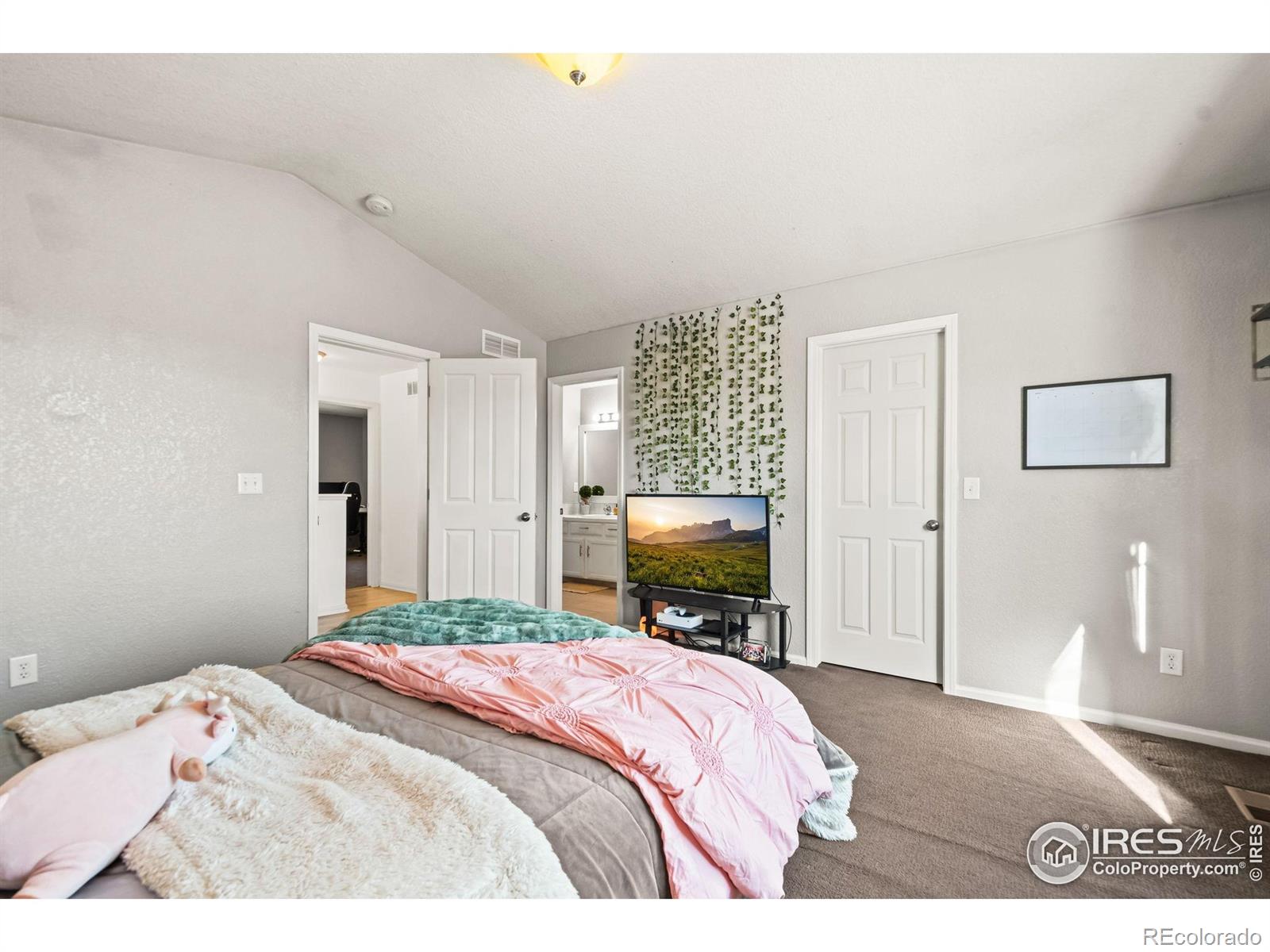 MLS Image #17 for 4019  avenida del sol drive,loveland, Colorado