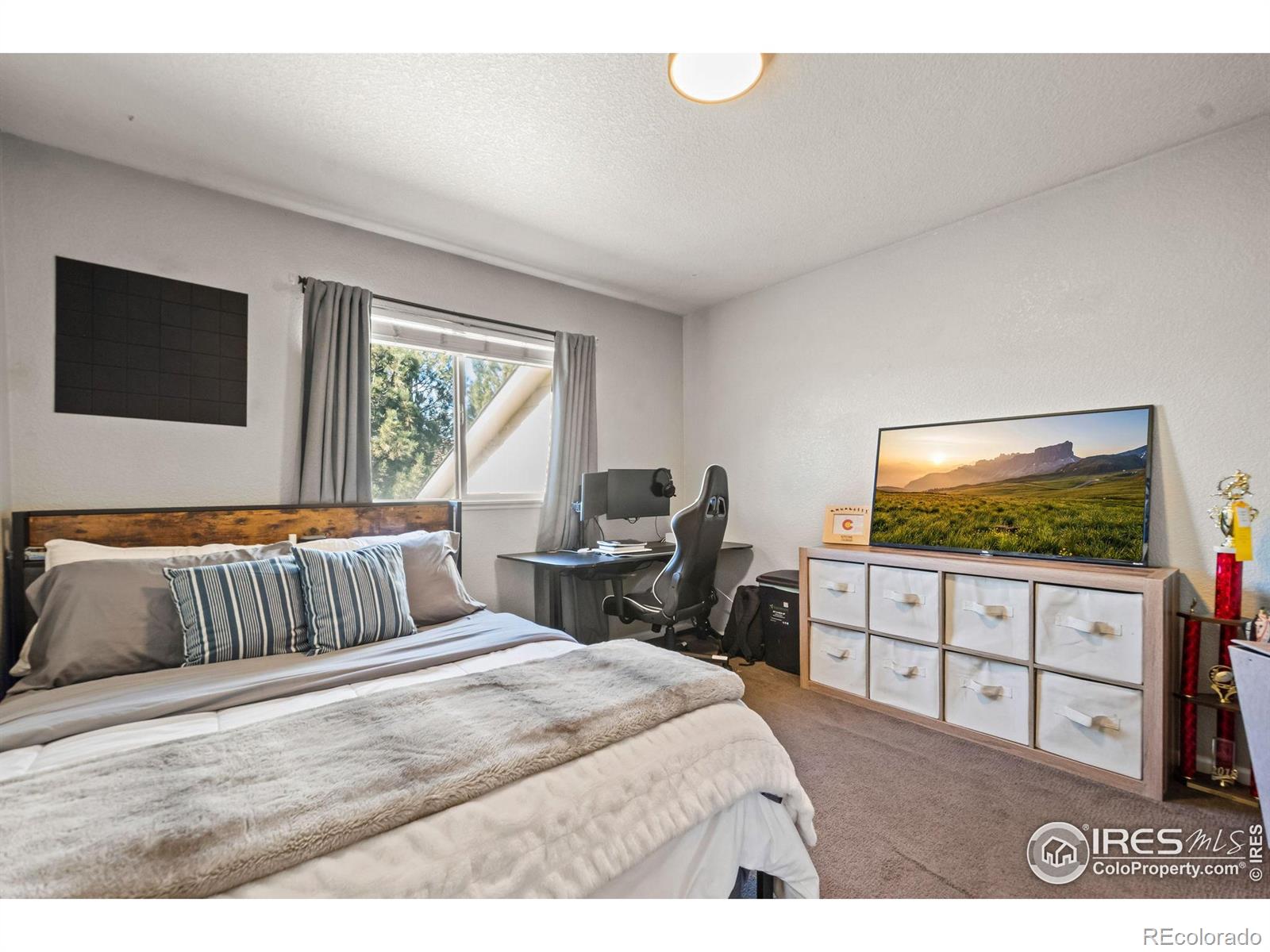 MLS Image #19 for 4019  avenida del sol drive,loveland, Colorado