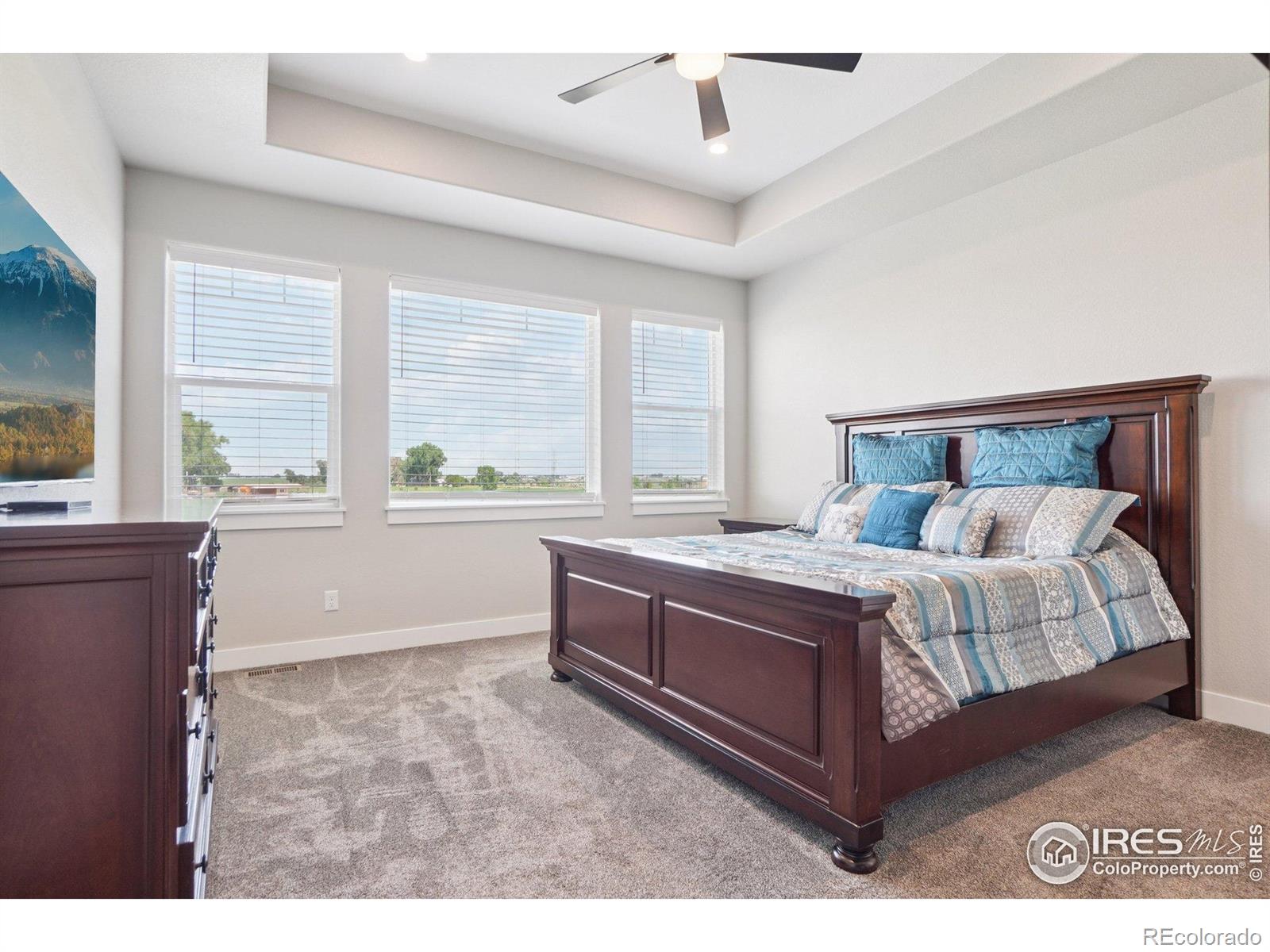 MLS Image #12 for 5010  prairie lark lane,severance, Colorado