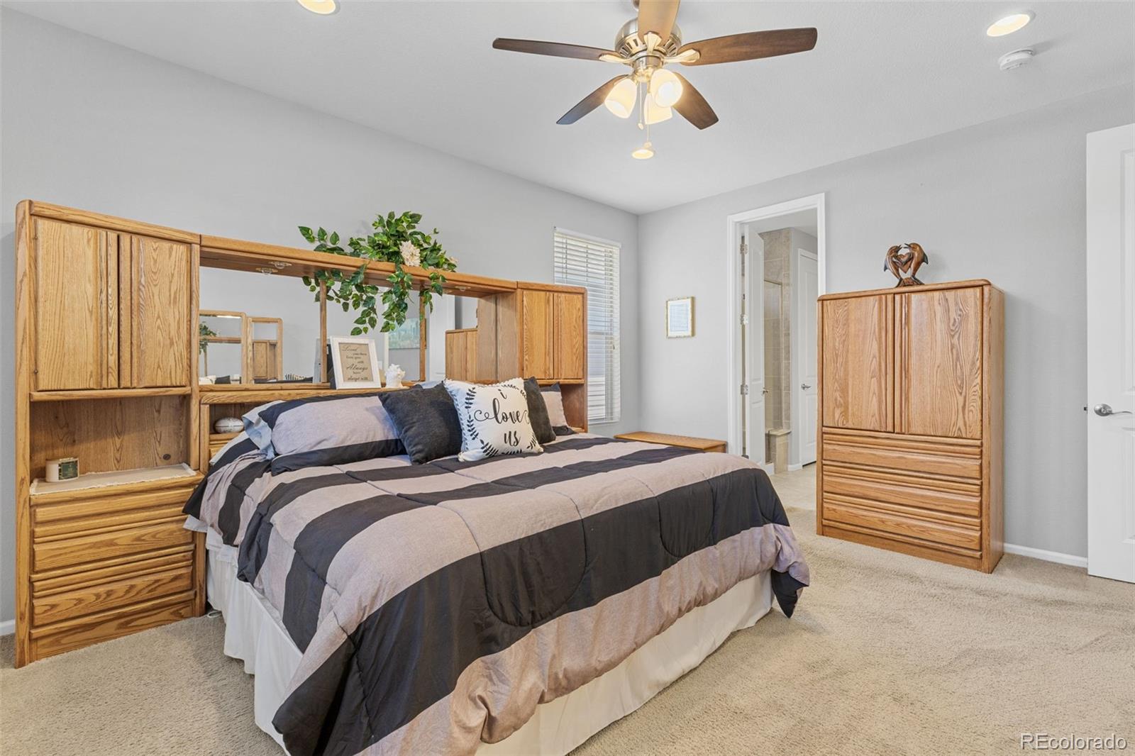 MLS Image #19 for 15895  columbine street,thornton, Colorado