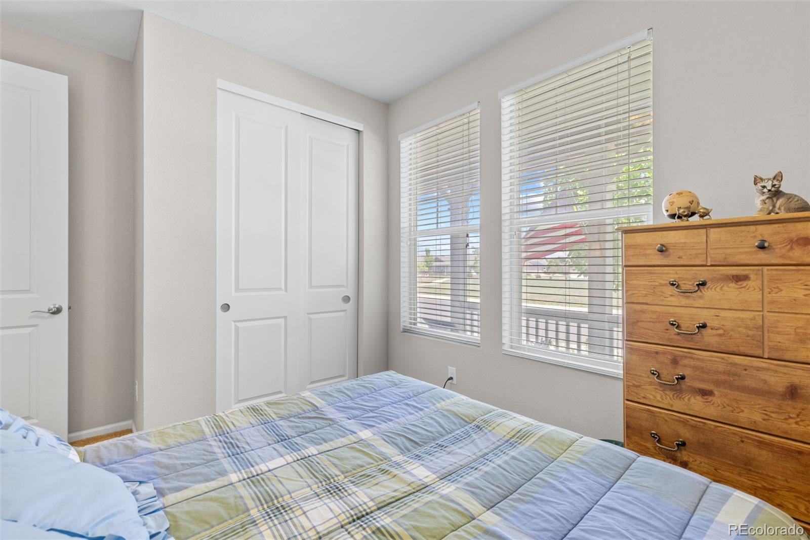 MLS Image #33 for 15895  columbine street,thornton, Colorado