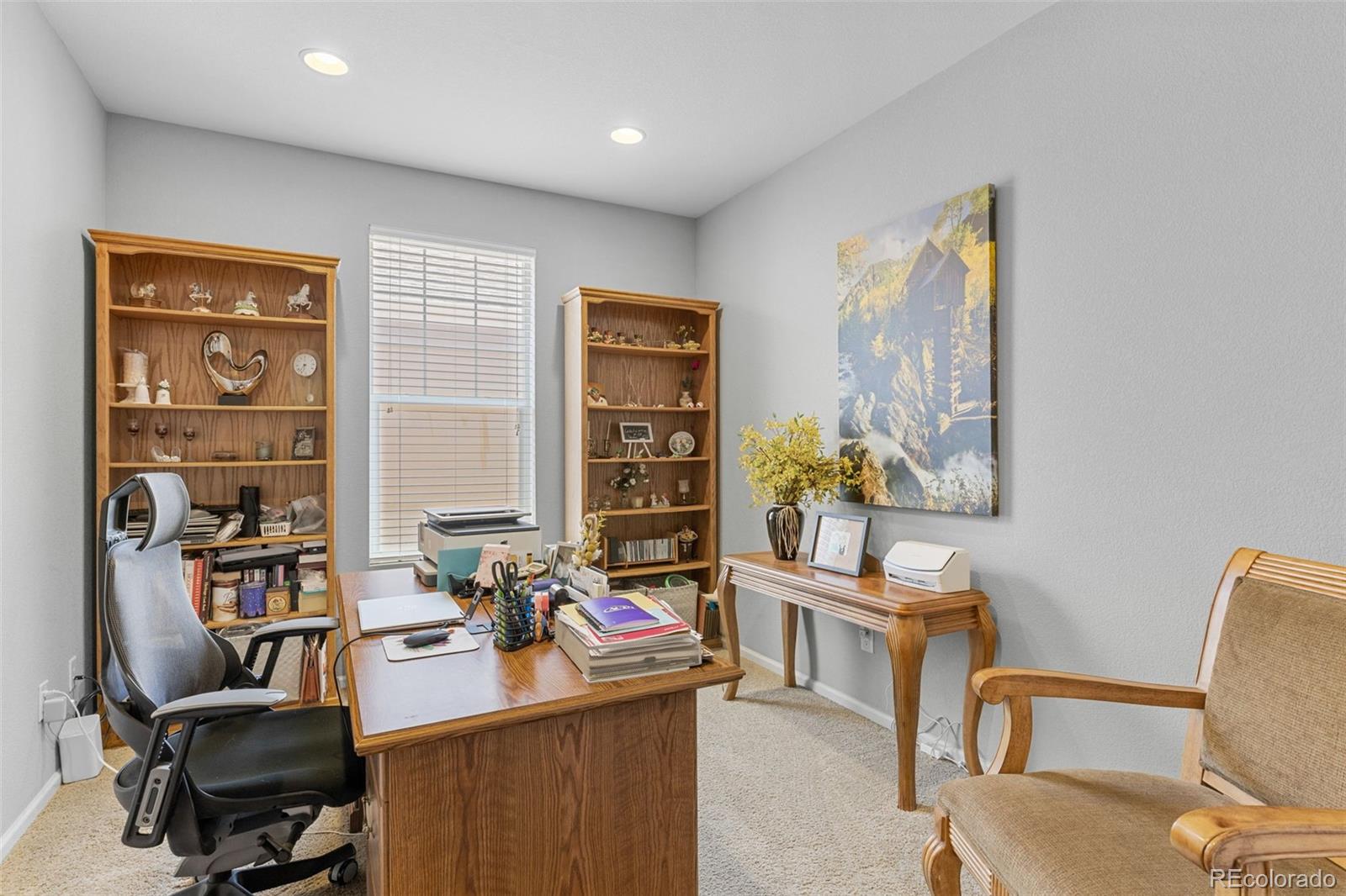 MLS Image #36 for 15895  columbine street,thornton, Colorado