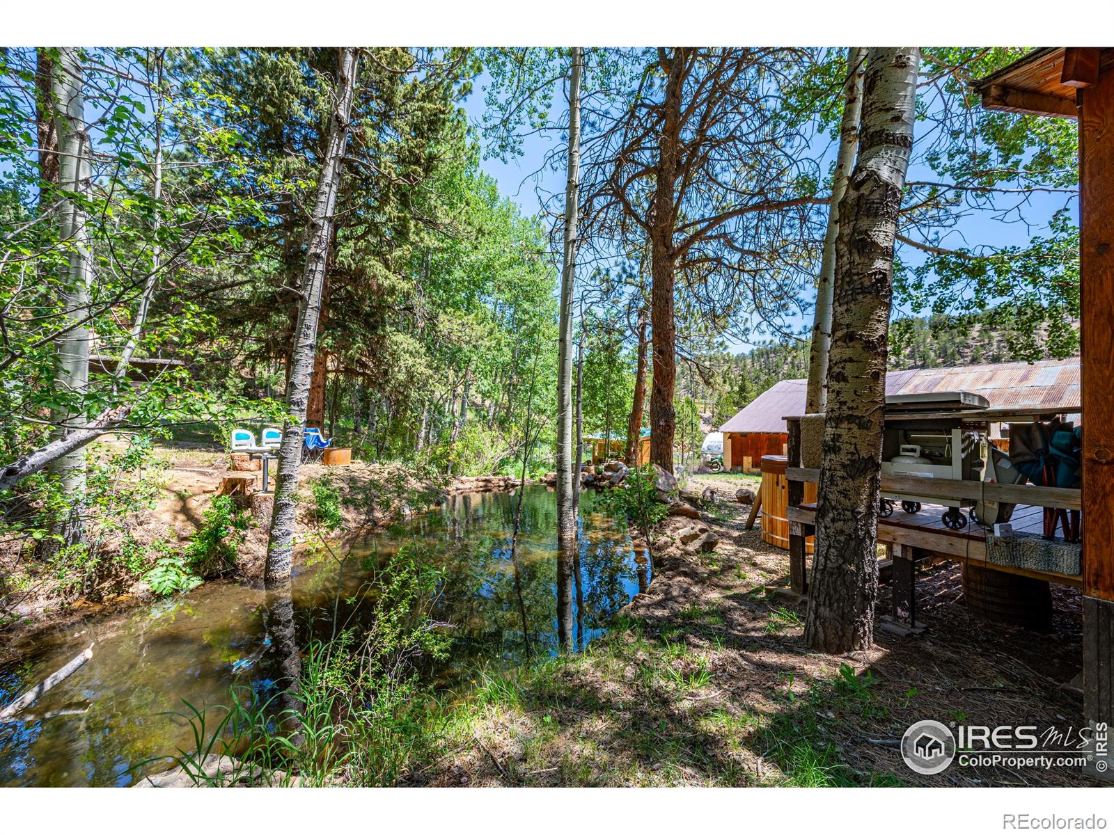 MLS Image #16 for 993  highway 7 business ,allenspark, Colorado
