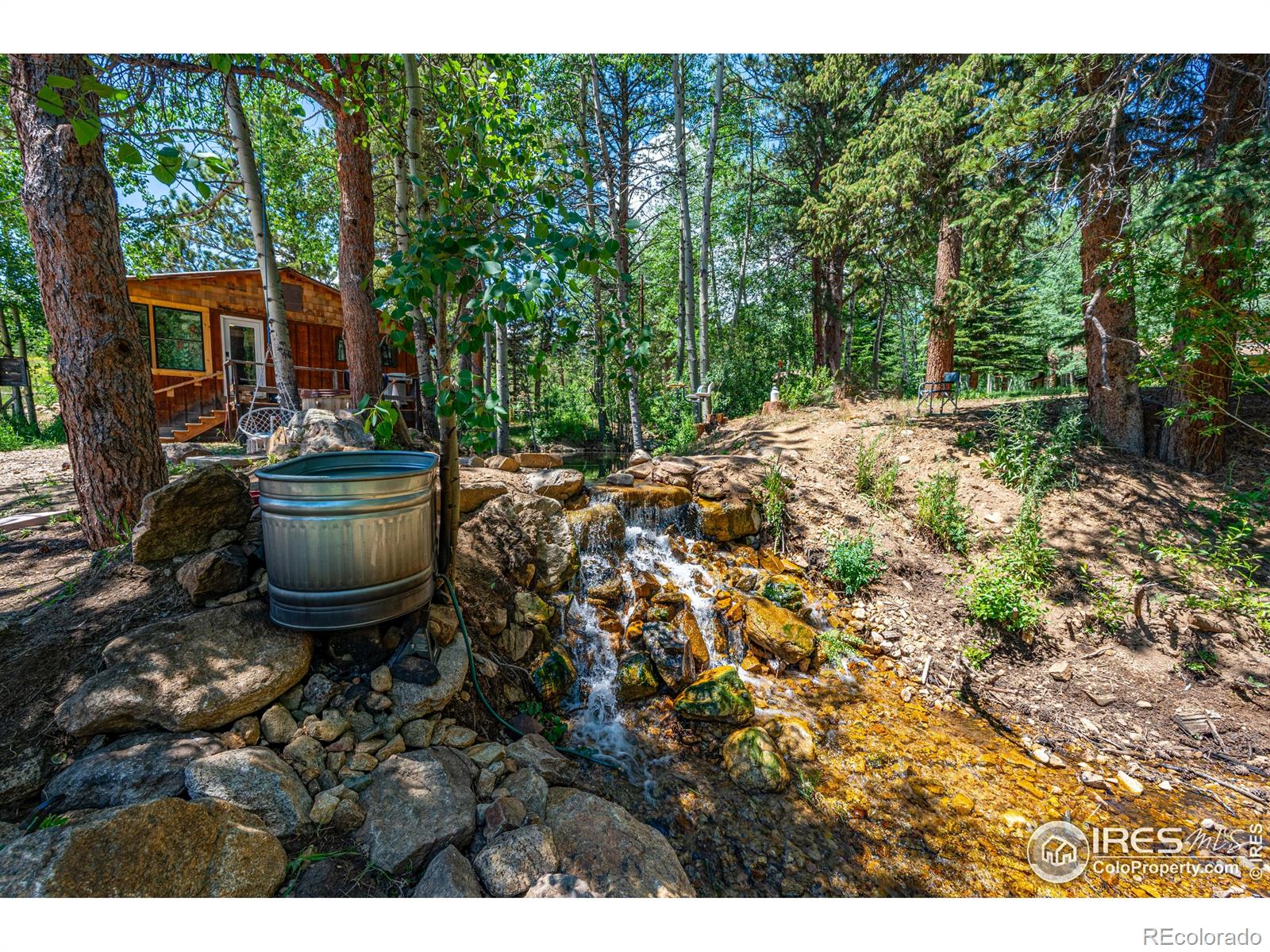 MLS Image #17 for 993  highway 7 business ,allenspark, Colorado