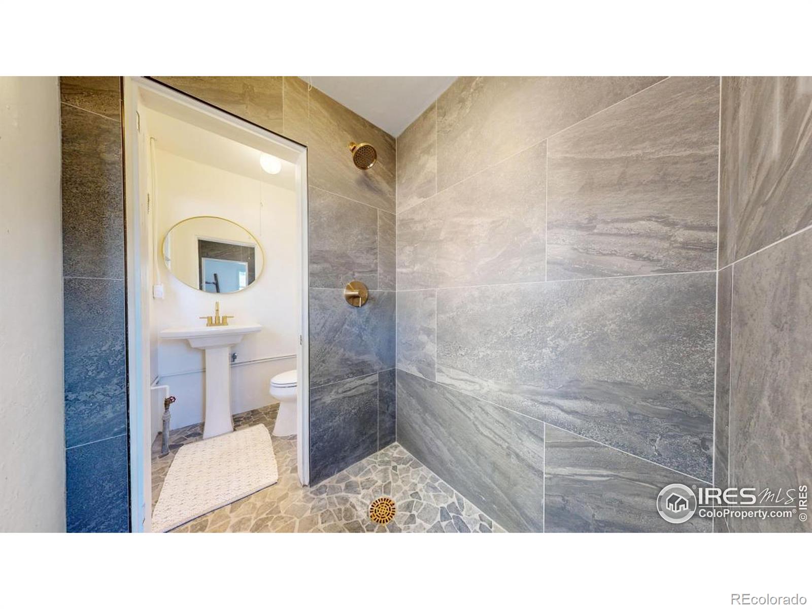 MLS Image #28 for 993  highway 7 business ,allenspark, Colorado