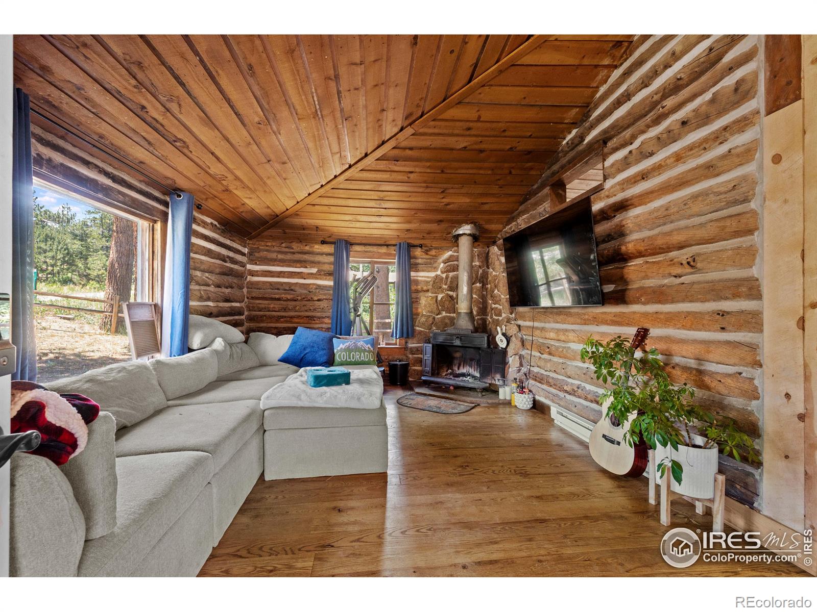 MLS Image #5 for 993  highway 7 business ,allenspark, Colorado