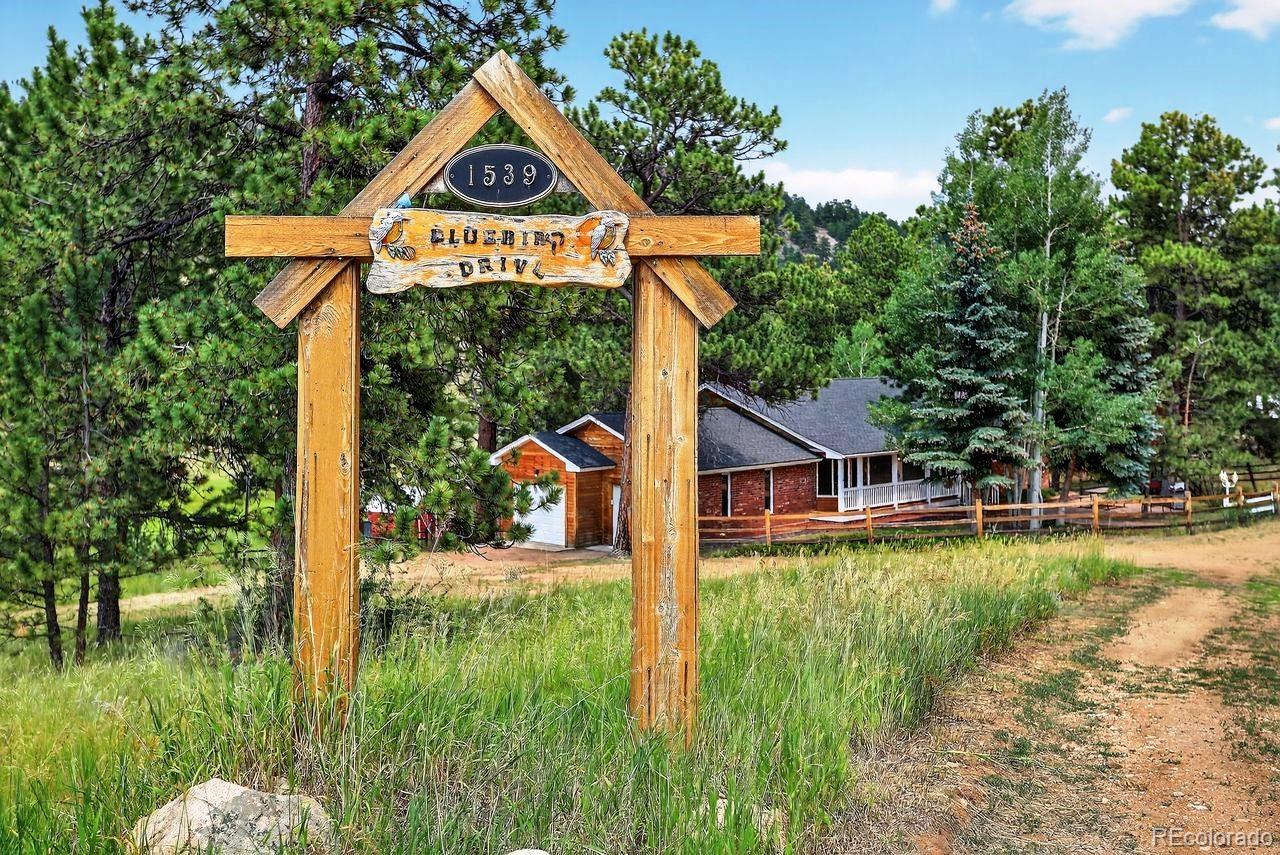 MLS Image #7 for 1539  bluebird drive,bailey, Colorado