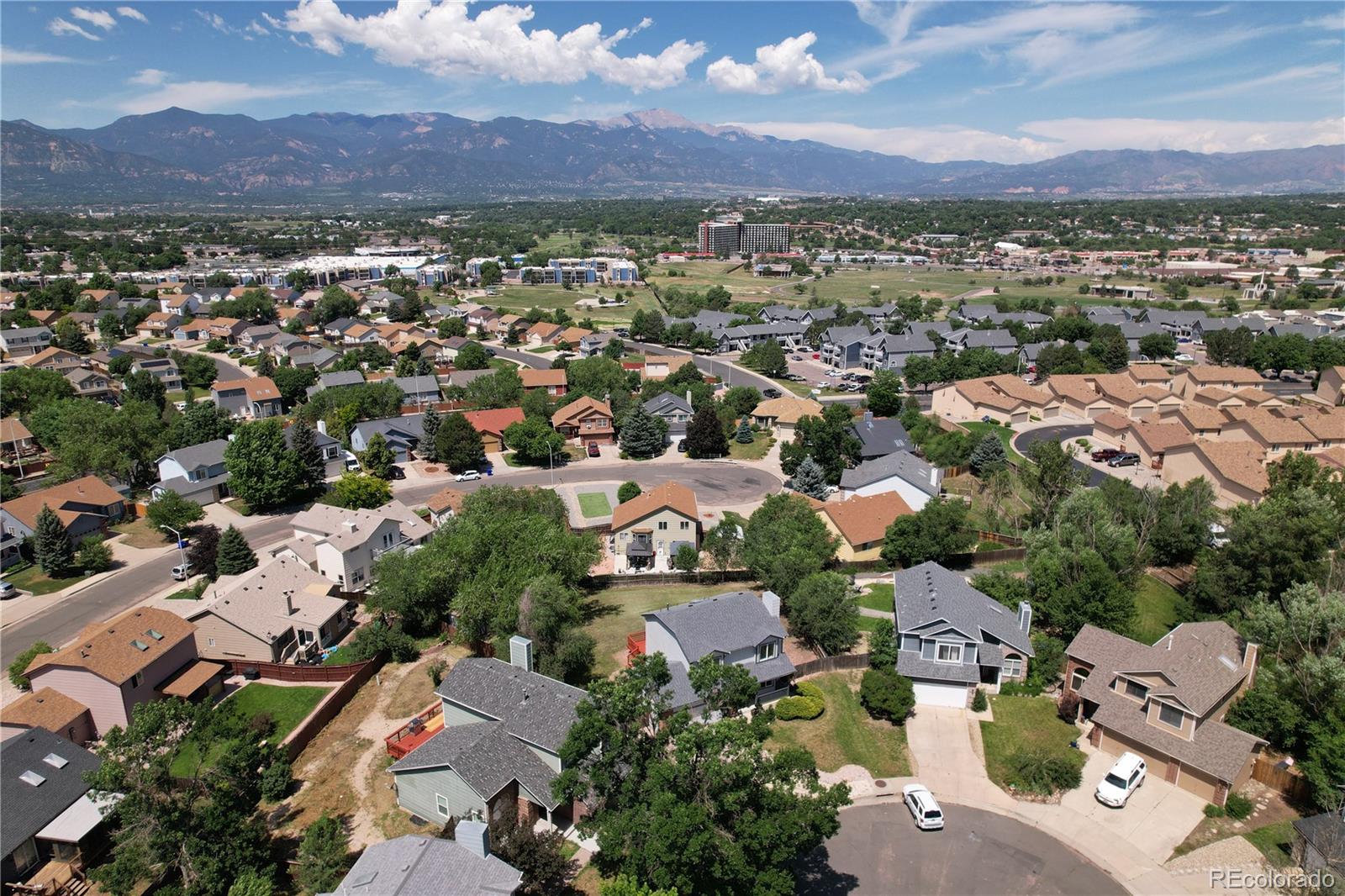 MLS Image #6 for 4215  grassy court,colorado springs, Colorado