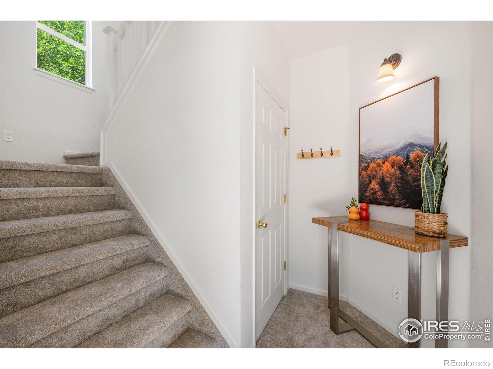 MLS Image #1 for 640  gooseberry drive,longmont, Colorado