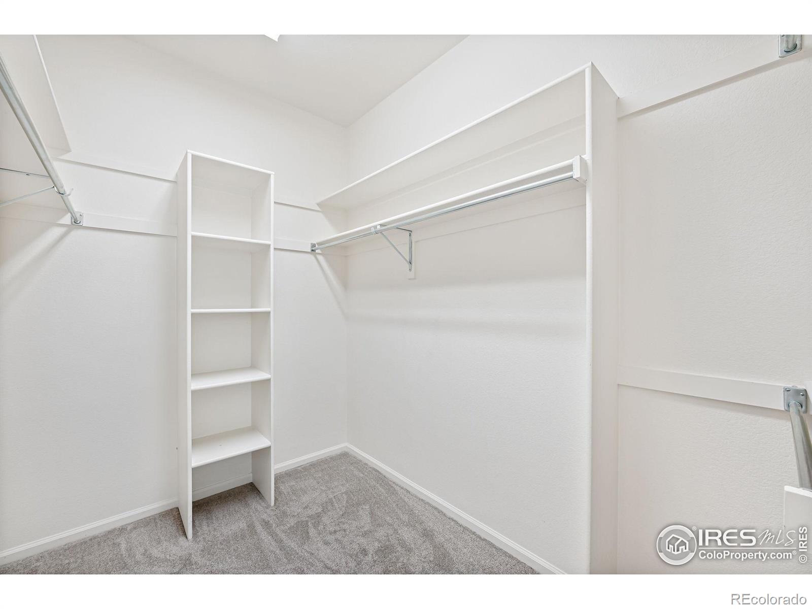 MLS Image #17 for 640  gooseberry drive,longmont, Colorado