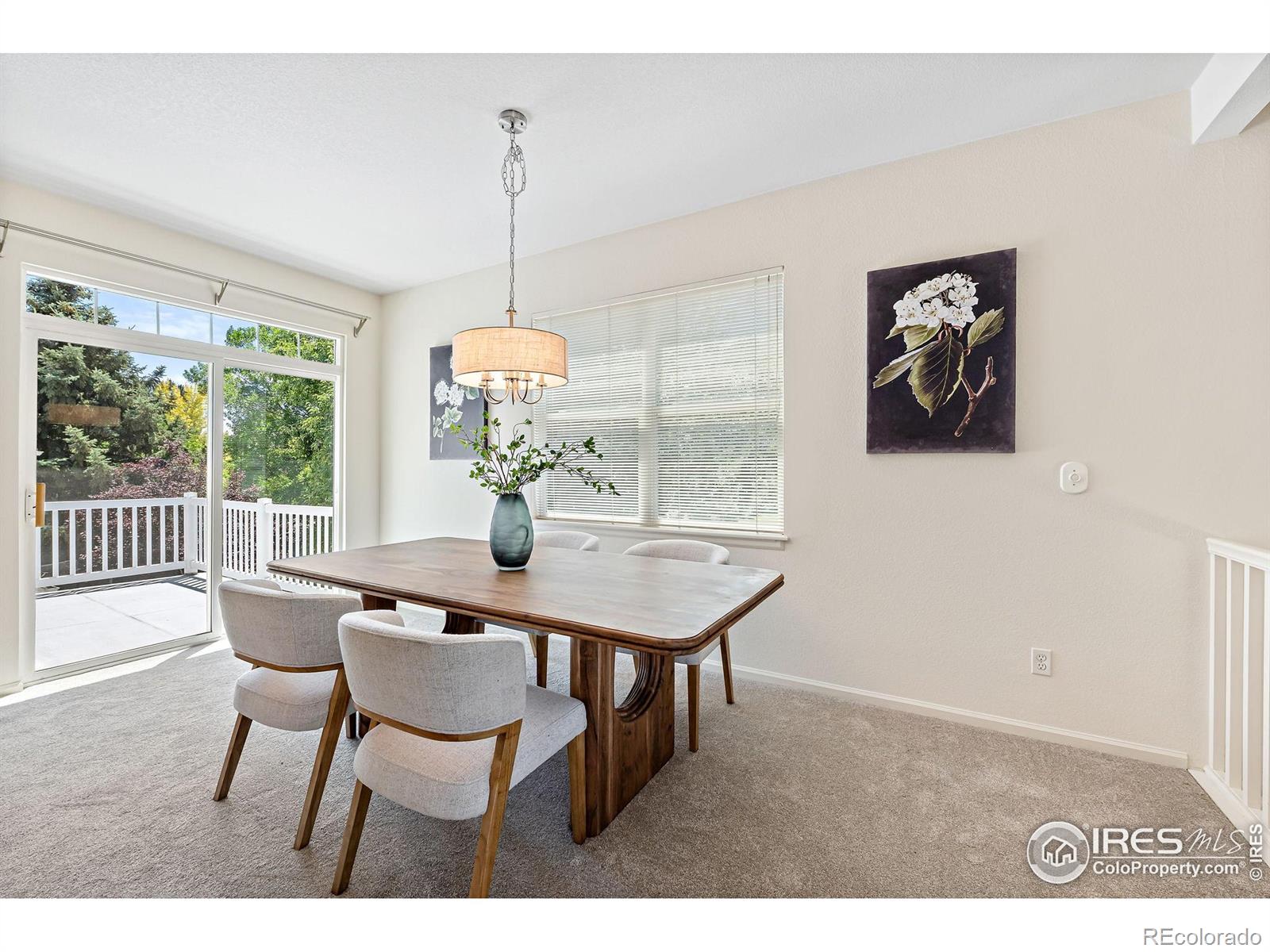 MLS Image #6 for 640  gooseberry drive,longmont, Colorado