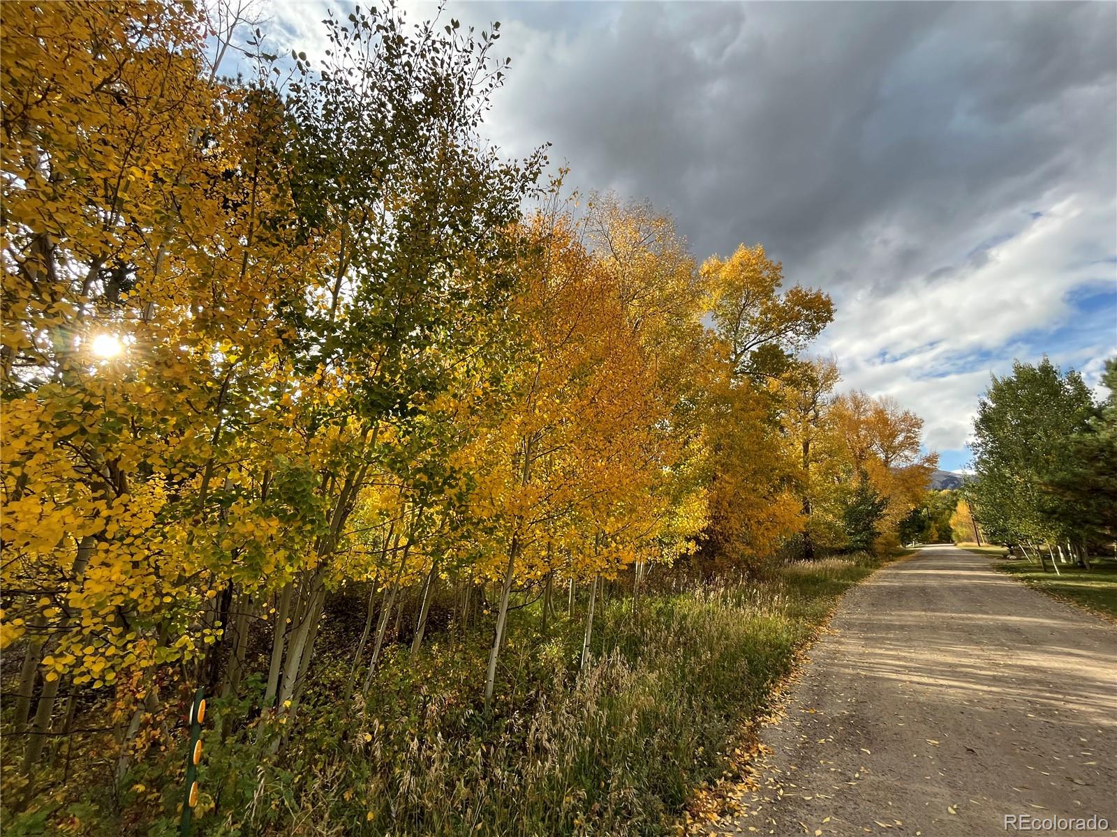 MLS Image #17 for 8242  county road 240e ,salida, Colorado