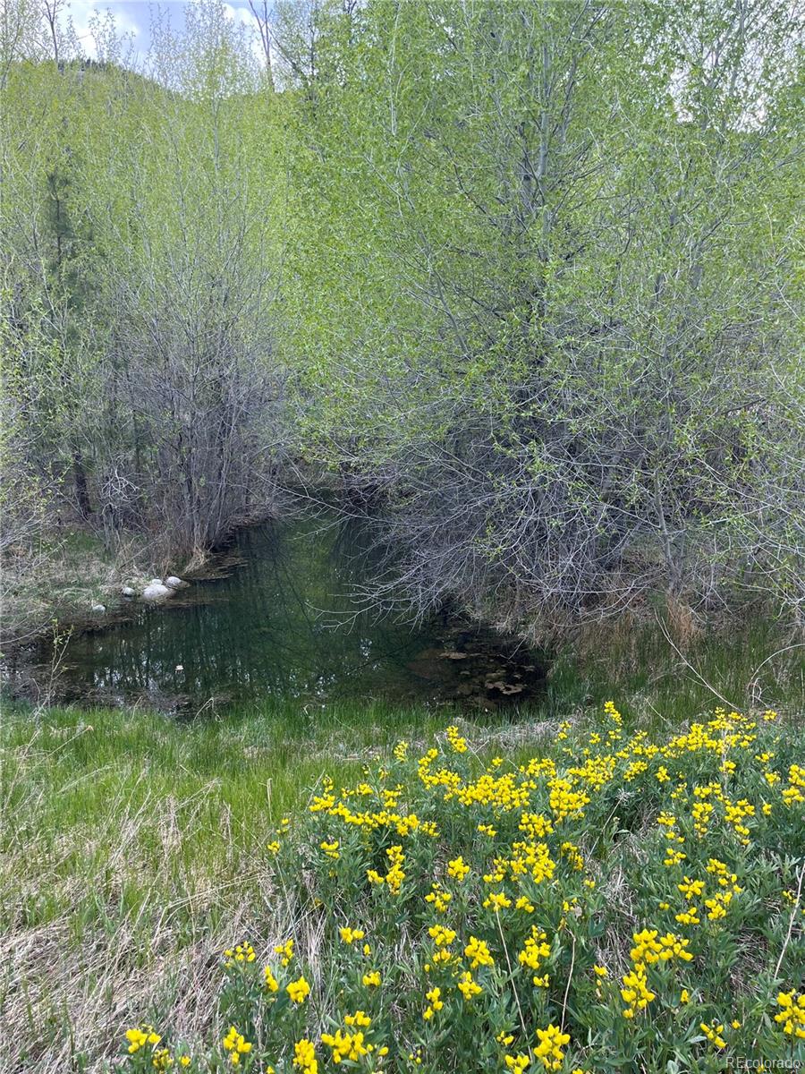 MLS Image #18 for 8242  county road 240e ,salida, Colorado