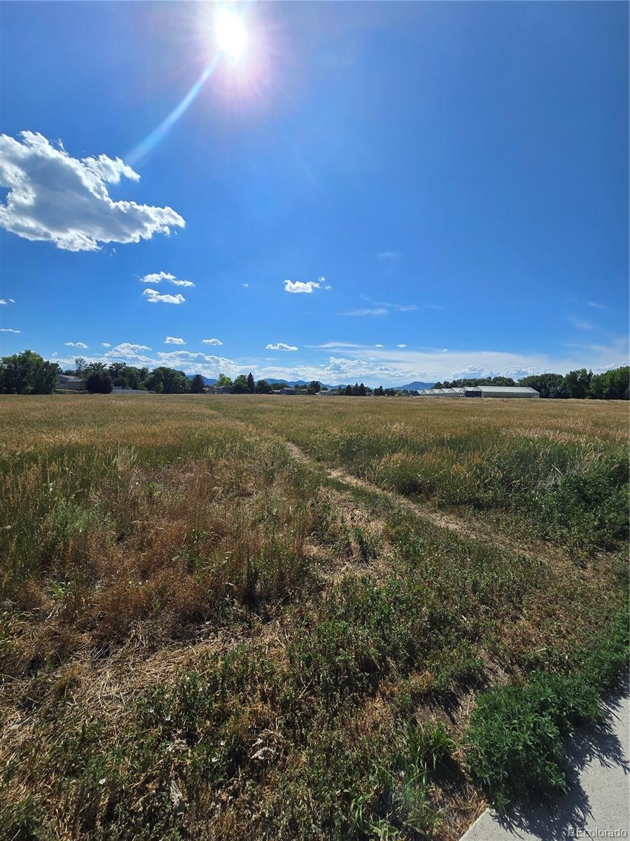 MLS Image #6 for 4899 s dudley street,littleton, Colorado