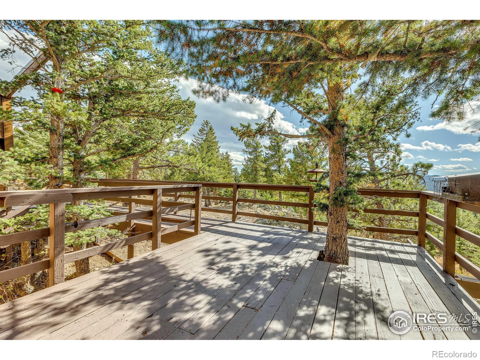 MLS Image #22 for 5566  sugarloaf road,boulder, Colorado