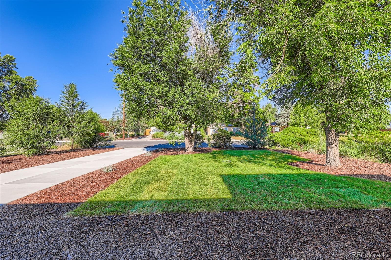MLS Image #28 for 2540  poplar street,denver, Colorado