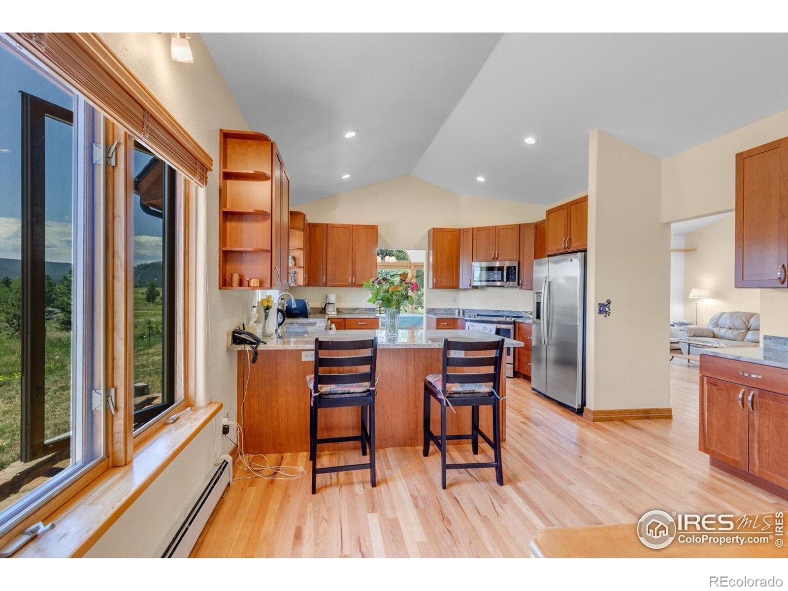 MLS Image #10 for 1293  lost angel road,boulder, Colorado