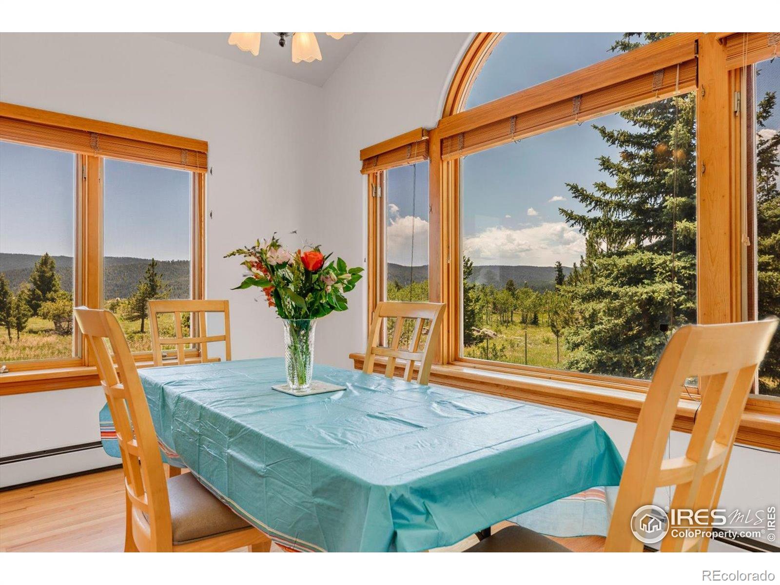MLS Image #11 for 1293  lost angel road,boulder, Colorado