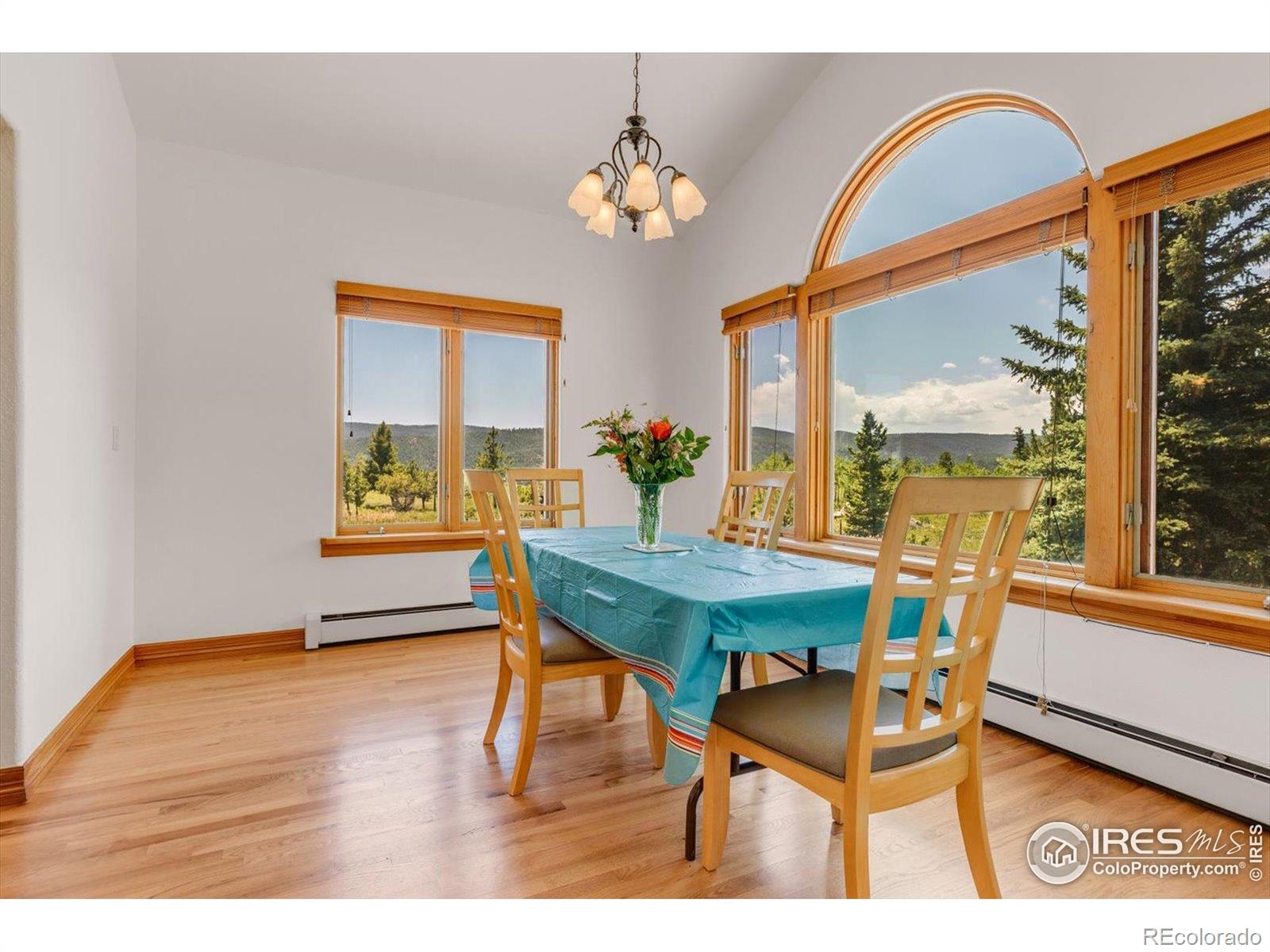 MLS Image #12 for 1293  lost angel road,boulder, Colorado
