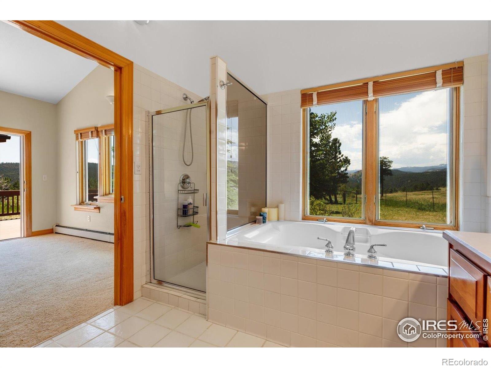 MLS Image #15 for 1293  lost angel road,boulder, Colorado