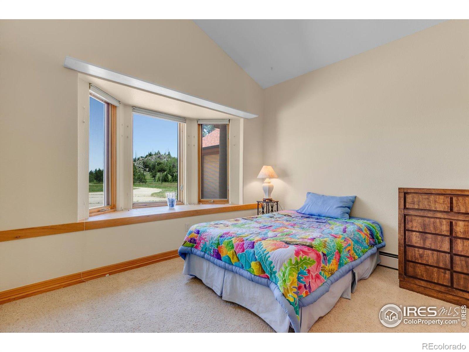 MLS Image #17 for 1293  lost angel road,boulder, Colorado