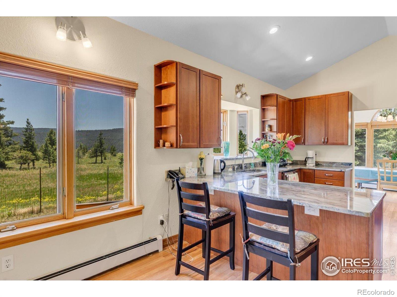MLS Image #9 for 1293  lost angel road,boulder, Colorado
