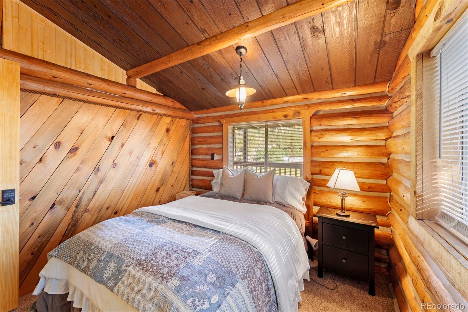 MLS Image #19 for 7042  county road 92 ,lake george, Colorado
