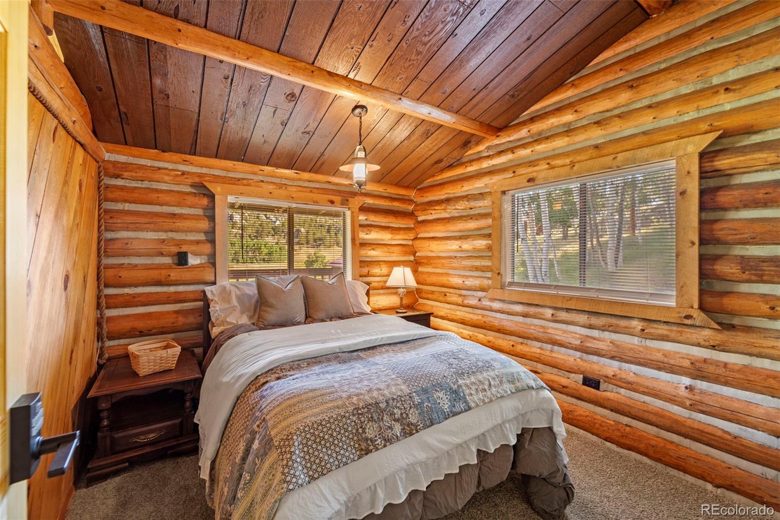 MLS Image #20 for 7042  county road 92 ,lake george, Colorado