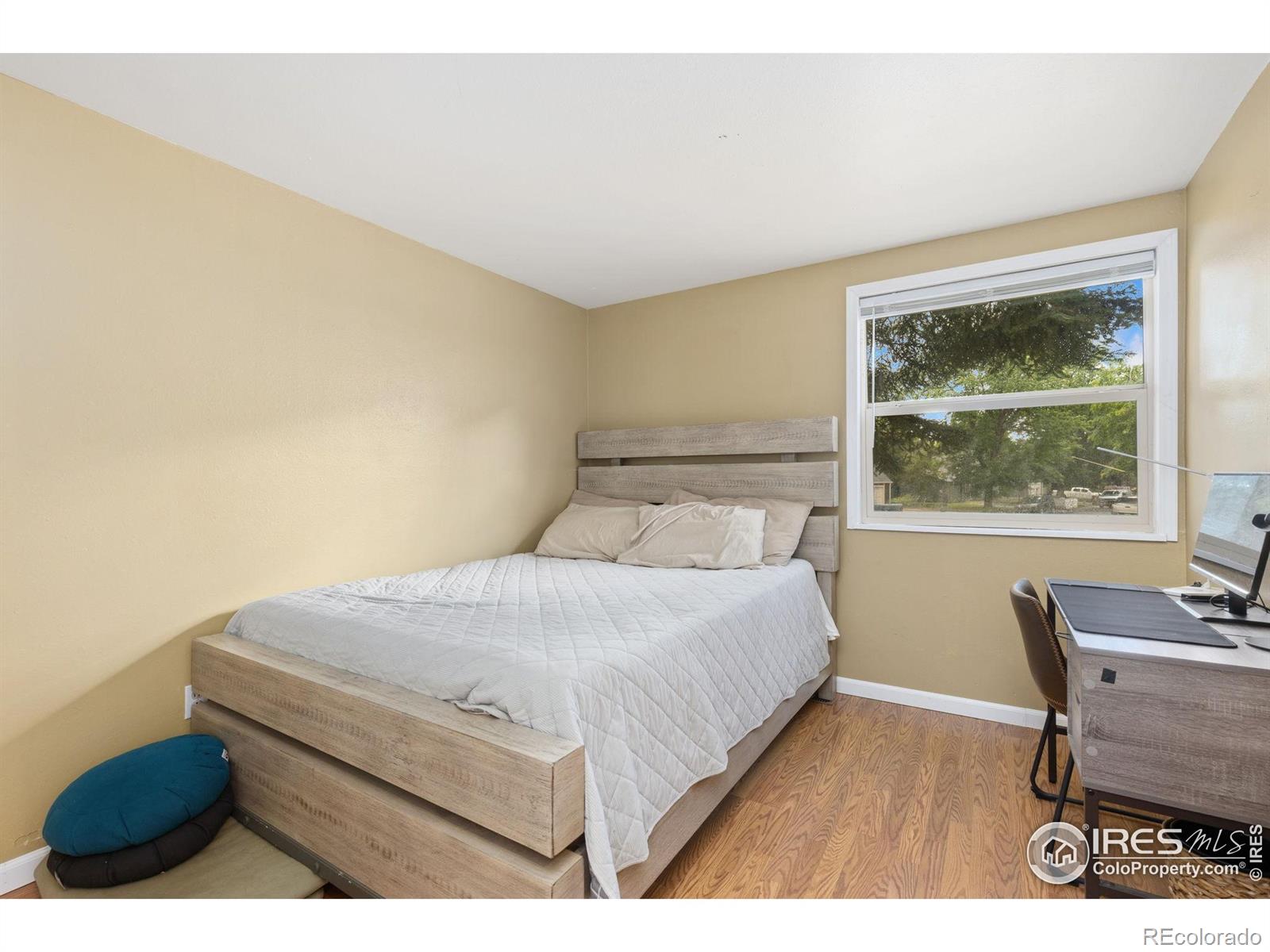 MLS Image #8 for 144  placer avenue,longmont, Colorado