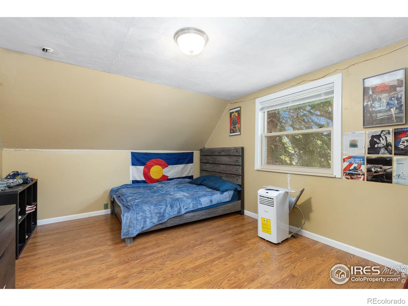 MLS Image #9 for 144  placer avenue,longmont, Colorado