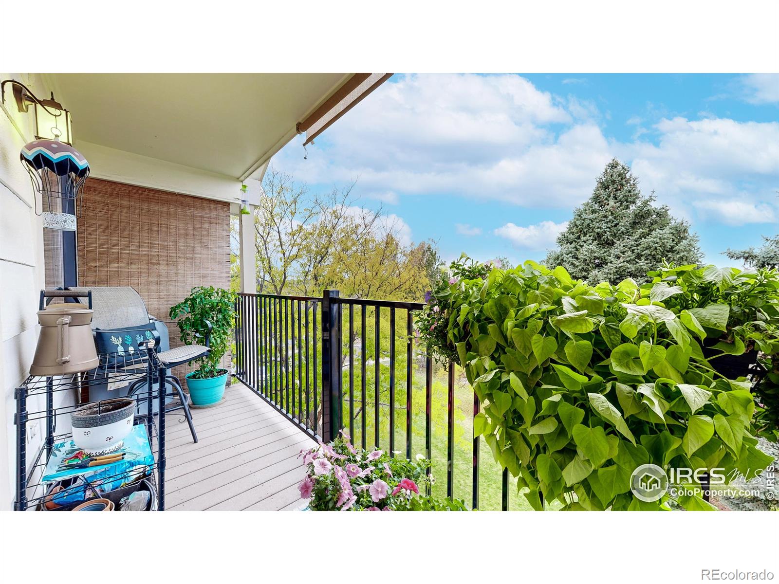 MLS Image #19 for 491 s kalispell way,aurora, Colorado