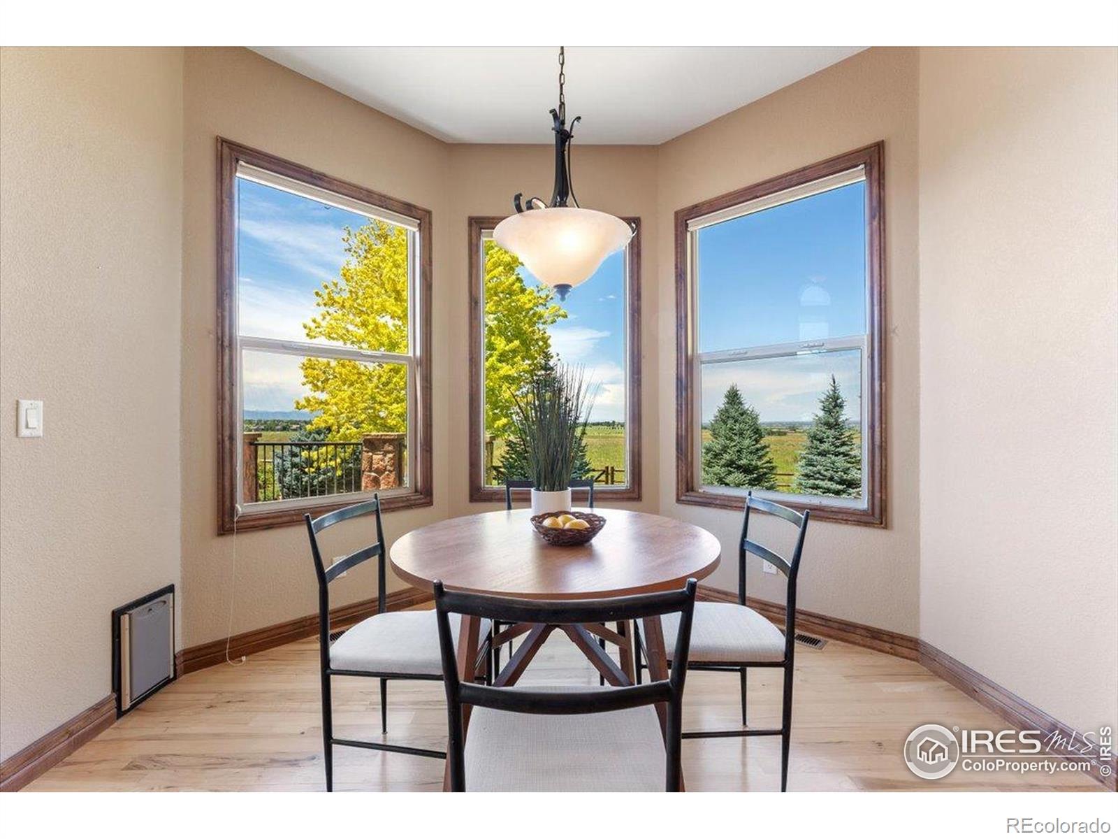 MLS Image #10 for 8276  blackwood drive,windsor, Colorado