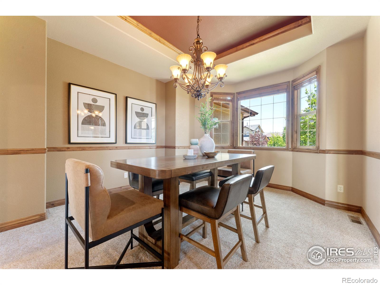 MLS Image #14 for 8276  blackwood drive,windsor, Colorado